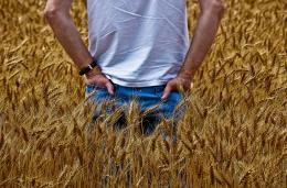 Wheat Field